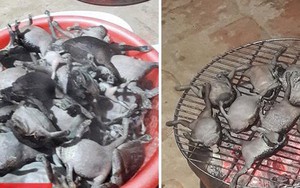 Nổi da gà với món ếch nướng nguyên con phải ai can đảm lắm mới dám thử