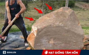Ra sức đẩy tảng đá giữa đường sang 1 bên, ngay lập tức anh nông dân nhận được thứ giá trị