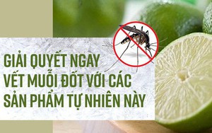 Giải quyết ngay vết muỗi đốt với các sản phẩm tự nhiên này