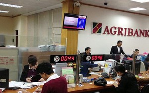 Nhân viên Agribank thu nhập bình quân 23,4 triệu, sếp quản lý gần 74 triệu đồng/tháng