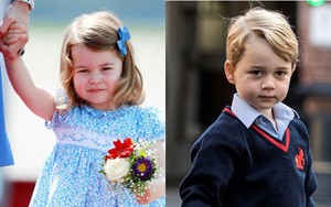 Vì sao Hoàng tử nhỏ và Công chúa Charlotte không được phép ăn cùng cha mẹ trong bữa ăn hoàng gia?