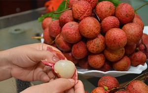 Sai lầm khi ăn vải chín lúc bụng đói