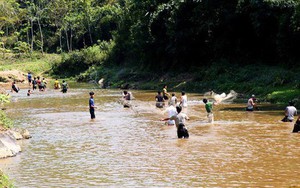 Nghệ An: Hai học sinh lớp 1 đuối nước thương tâm ở khe suối gần nhà