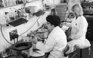 Tiết lộ vụ thử nghiệm thuốc LSD tuyệt mật của Thủy quân Hoàng gia Anh