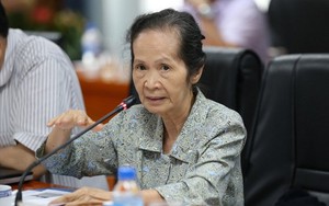 Bà Phạm Chi Lan: Lùi Dự Luật Đặc khu là một trong những quyết định sáng suốt nhất