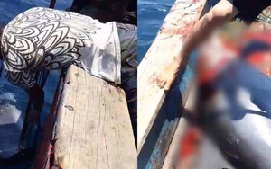 Nhóm ngư dân bị chỉ trích dữ dội vì săn bắt cá heo rồi đăng lên Facebook khoe