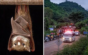 Giáo sư Mỹ cảnh báo nguy cơ đội bóng nhí Thái Lan mắc bệnh lạ