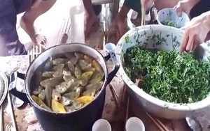 Ăn gỏi cá sống: món ăn mang nhiều hiểm họa