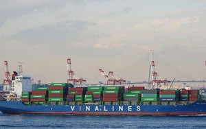Báo lãi trước IPO, Vinalines có hấp dẫn nhà đầu tư?