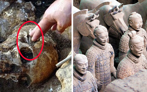 Phát hiện hài cốt bị phân thây trong khu mộ Tần Thủy Hoàng: Bí mật hơn 2000 năm hé lộ