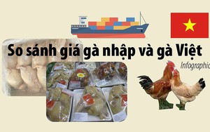 Giá gà không đầu, không chân nhập khẩu khác gà Việt ra sao?