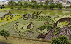 Nông dân Nhật biến ruộng lúa thành các hình vẽ truyện tranh để tưởng nhớ họa sĩ huyền thoại Osamu Tezuka