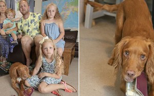 Góc đen đủi: Gia đình 5 người bị chó cưng cắn nát 2 quyển hộ chiếu ngay trước ngày đi nghỉ dưỡng xa xỉ