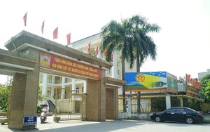 600 giáo viên hợp đồng Hà Nội trước nguy cơ mất việc