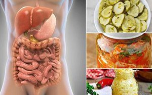 Vi khuẩn Probiotic tốt cho hệ tim mạch và cải thiện hệ thống miễn dịch