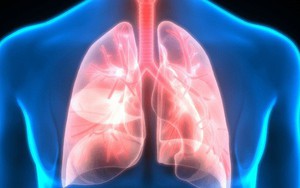 6 cách “quét sạch” độc tố trong phổi: Thực hiện mỗi ngày vì phổi hít phải nhiều chất bẩn