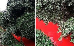 Dòng sông bất ngờ đỏ lòm như máu, người dân tá hỏa khi rõ nguyên nhân