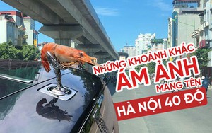 Sống chung với Hà Nội 40 độ là như thế nào?