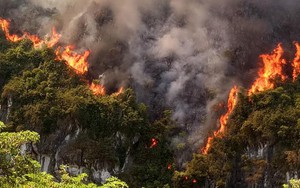 Nắng nóng, thảm cây trên núi đá bất ngờ bốc cháy dữ dội ngay gần cây xăng