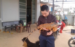 Chàng trai Lâm Đồng sở hữu cặp “thú cưng” độc lạ