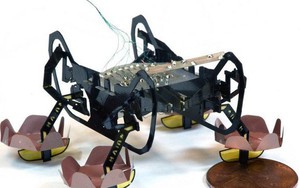 Harvard phát triển thành công robot đổ bộ siêu nhỏ có thể bơi lội, đi bộ dưới nước và lên bờ thành thạo
