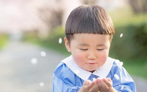 Cậu nhóc Nhật Bản đầu nấm má phính với 1001 biểu cảm không yêu không được