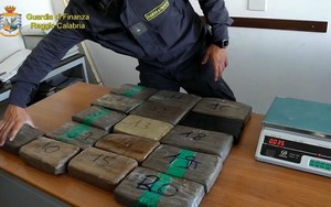 Italy triệt phá phi vụ buôn lậu ma túy trị giá 200 triệu euro giấu trong thùng nhiên liệu