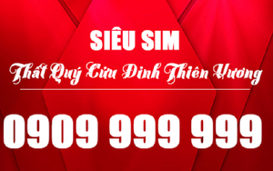 Thương vụ mua bán siêu sim 0909999999 giá 23 tỷ đồng chỉ là chiêu trò đánh bóng tên tuổi?