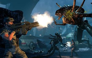 Chỉ một kí tự trong dòng code bị sai đã khiến cả một game bom tấn bị vứt sọt rác, chính nhờ cộng đồng game thủ tận tụy đã cứu rỗi nó
