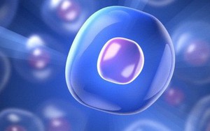 Các nhà khoa học Anh đảo ngược được quá trình lão hóa của tế bào người trong phòng thí nghiệm