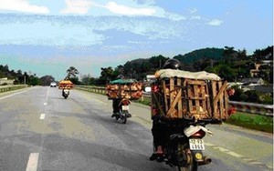 Mang sọt tre 'gánh' gà con ủ rũ, chết từ Trung Quốc vào VN