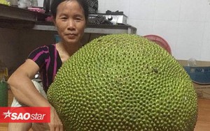 Khoe được mời ăn quả mít gần 20kg, thanh niên bị 'ném đá ngược' vì không đăng ảnh... múi mít