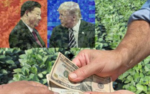 Chiến tranh thương mại Mỹ-Trung: Món quà bất ngờ, Nga nhanh tay chìa đất "hứng tiền" từ TQ