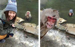 Cười ra nước mắt với các "thánh sống ảo" đăng đàn nhờ chỉnh sửa ảnh ai ngờ nhận về sản phẩm làm trò cười cho cả thiên hạ