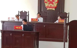 Áp quy định lạc hậu xử phạt, Uỷ ban thua kiện tiểu thương