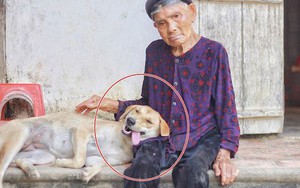 Cháu gái khoe ảnh ngoại thân thiết bên chú pet nhưng cộng đồng mạng chỉ cười ngất bởi dáng ngủ siêu lầy lội của chú chó cưng