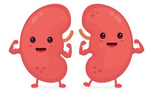 8 loại thực phẩm ngon, bổ, rẻ là "bạn thân" của thận: Ăn càng nhiều, thận càng khỏe