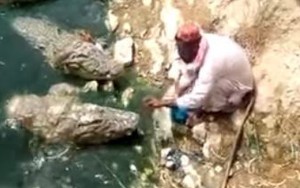 Rùng mình xem người đàn ông ngồi giữa bầy 5 con cá sấu đói ăn