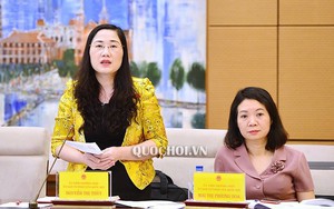 'Dự án luật chuẩn bị chưa kỹ thì đừng bắt ĐBQH thảo luận'