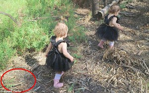 Xem lại ảnh chụp, bà mẹ rùng mình phát hiện 2 con gái nhỏ đã thoát chết thần kỳ trong gang tấc