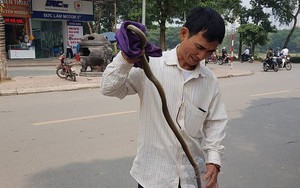 Chuyên gia lý giải nguyên nhân rắn "thi nhau xuất hiện" ở khu đô thị Linh Đàm