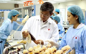 Một học sinh ở Hải Phòng được thanh toán bảo hiểm y tế 1,8 tỷ đồng