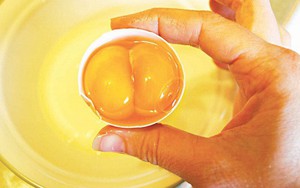 Trứng gà hai lòng đỏ giá trị dinh dưỡng cao