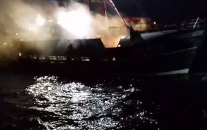 Ngư dân Pháp, Anh ‘hỗn chiến’ bằng bom khói và đá, giành sò điệp trên biển