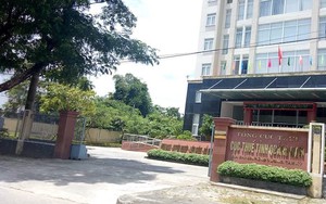 Quảng Nam: Một người có thu nhập 700.000 USD từ Google