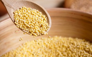 4 thực phẩm "vàng" giúp sửa chữa, trẻ hóa dạ dày: Hãy ăn bổ sung trước khi phải uống thuốc