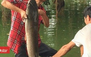 Cần thủ câu được cá trê 'khủng' khoảng 10kg ở Hồ Gươm