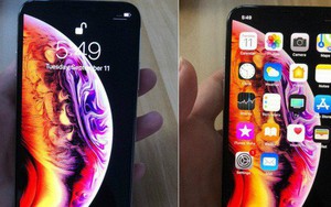 iPhone Xs lộ ảnh trên tay trước giờ G, hóa ra hình nền mới là để che tai thỏ