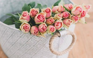 Thứ Tư của bạn (12/9): Xử Nữ thiếu một chút định hướng