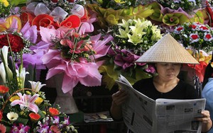 Học giả nước ngoài tại WEF: "Sẽ có ngày người dân Việt Nam đều đi ô tô thay vì xe máy"